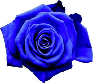 BlueRose Gentlemen Logo deutschsprachig