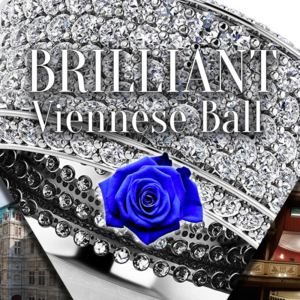 Brilliant Viennese Ball Dance Partner Package