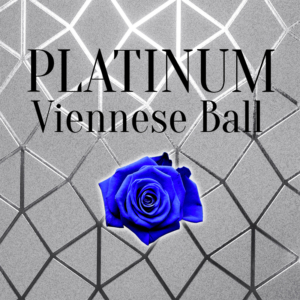 Platinum Viennese Ball Dance Partner Package
