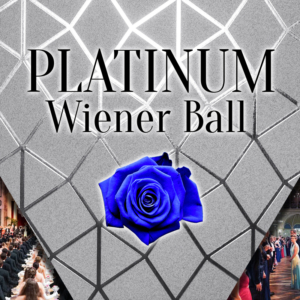 Platinum Wiener Ball Paket BlueRose