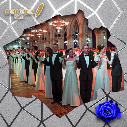 Concordia Ball - Vienna City Hall