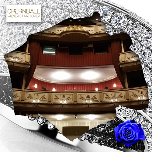 Vienna Opera Ball - Opera
