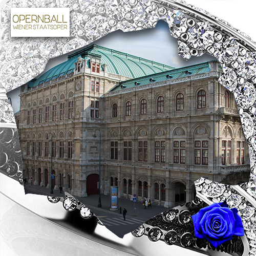 Vienna Opera Ball - Opera